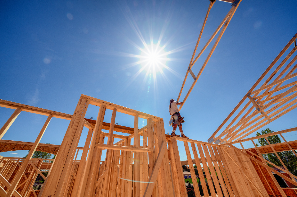 builders in West Auckland