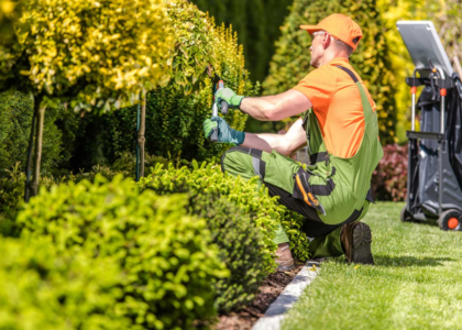 landscaping contractor