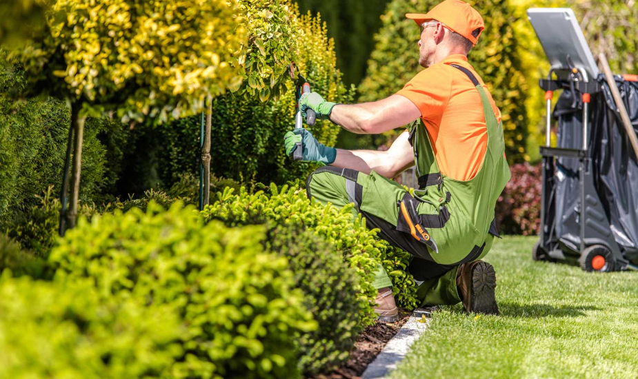 landscaping contractor